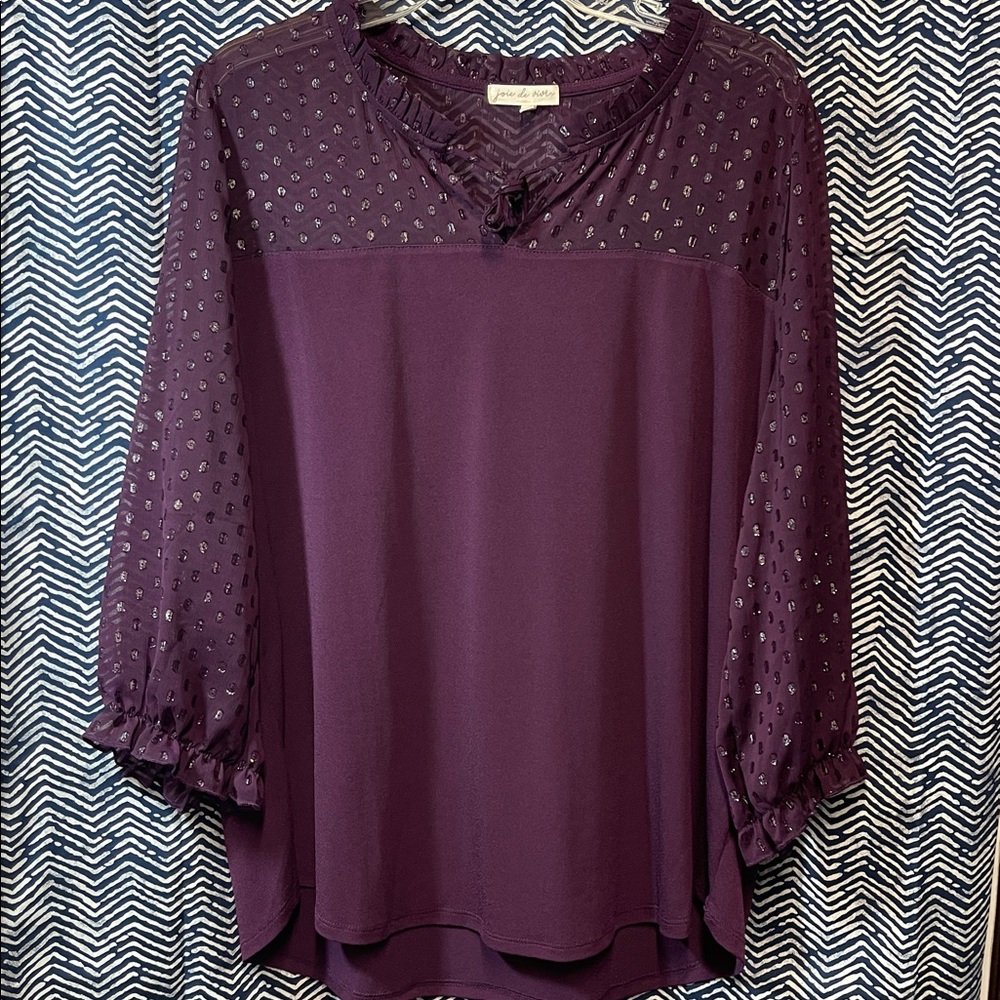 Joie de Vivre Plum Blouse with Sheer Sleeves